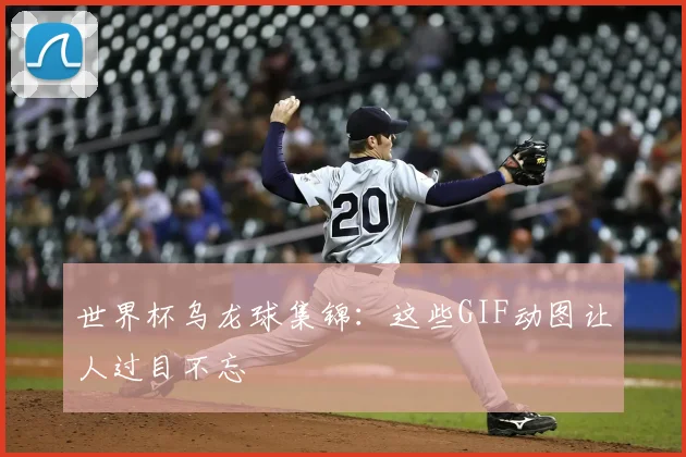 世界杯乌龙球集锦：这些GIF动图让人过目不忘