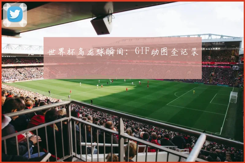 世界杯乌龙球瞬间：GIF动图全记录