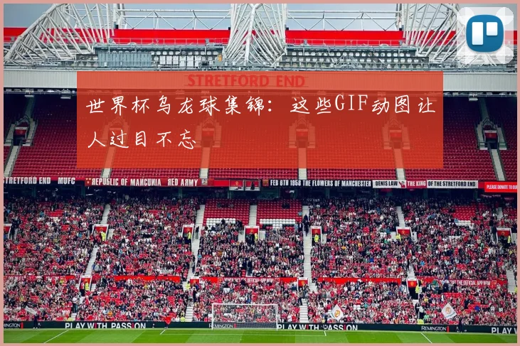 世界杯乌龙球集锦：这些GIF动图让人过目不忘